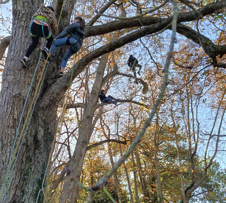 Dédale des Cimes à l’honneur dans les Rendez-vous nature en Anjou